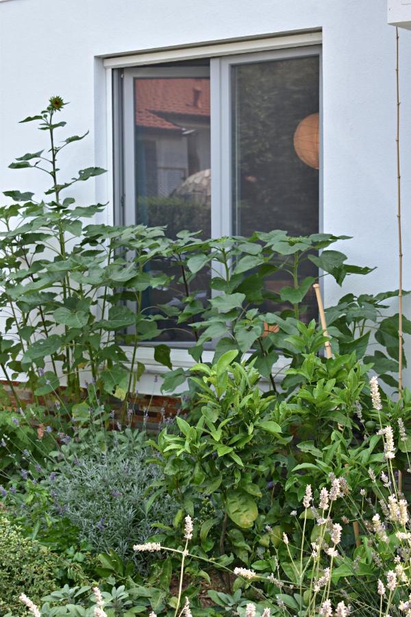 Postaja 33 Apartamento Zgornje Skofije Exterior foto